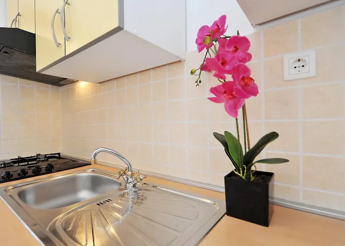 Pako Пакоштане